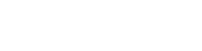 Blackbird AI Logo